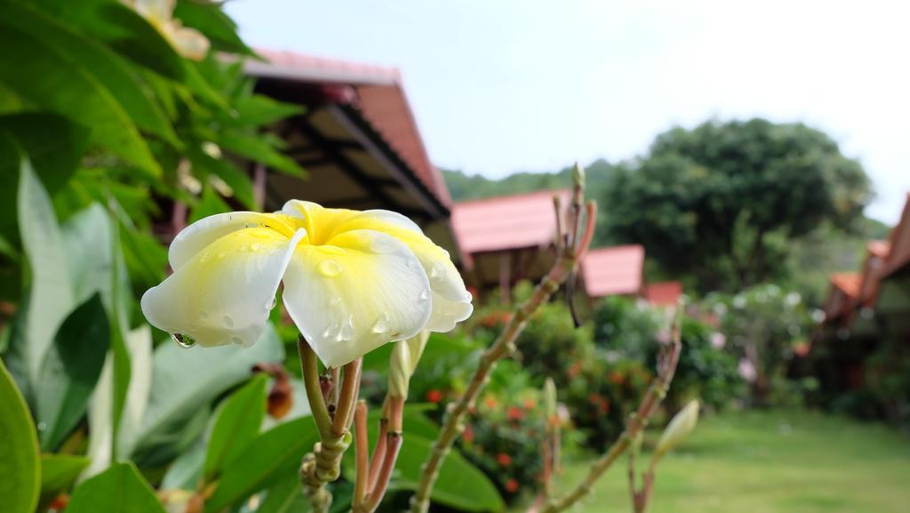 Pooltrap Village Bungalow Ko Pha Ngan Ngoại thất bức ảnh